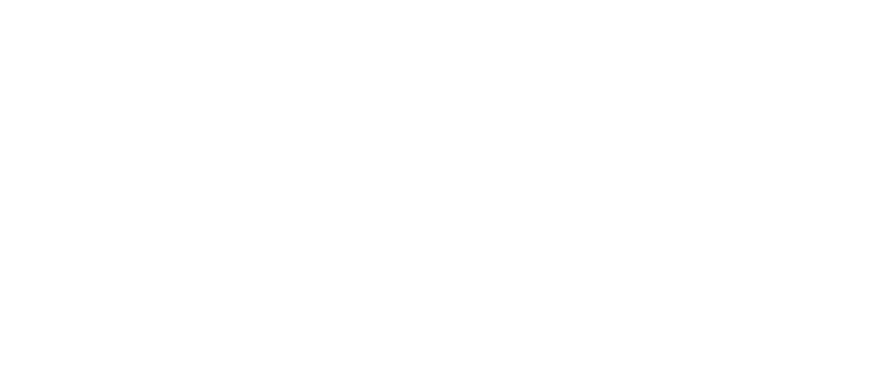 Quant Bridge